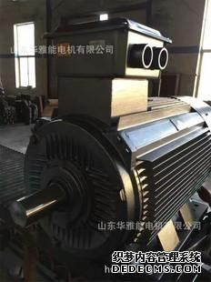 大功率电机