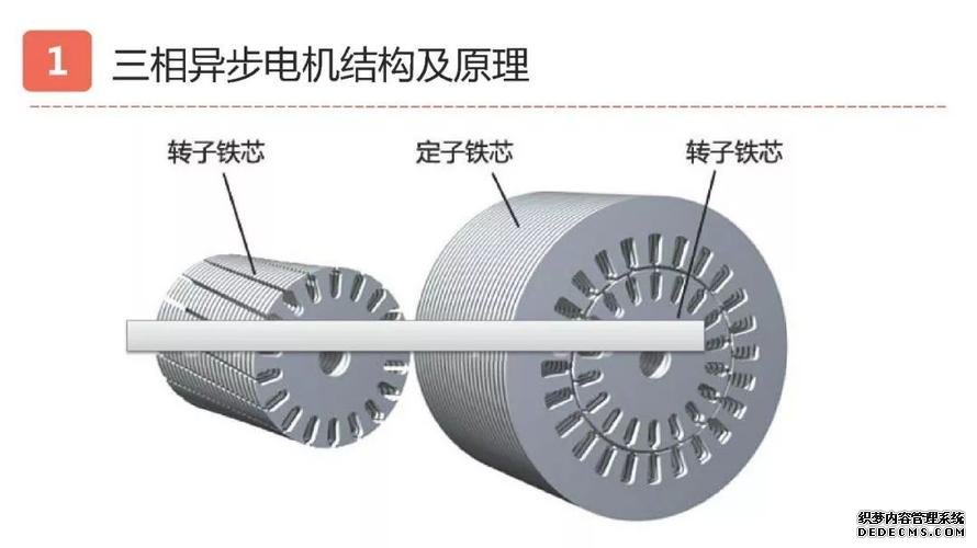 电机的结构